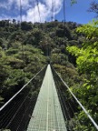 Monteverde cloudforest walkways