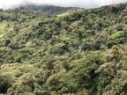 Monteverde cloudforest seen from above