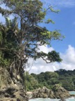 Manuel Antonio national park