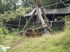 Orangutang in Jersey Zoo