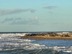 Seals at Blakeney Point (zoomed in picture