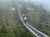 Suspension bridge by the sea to sky gondola