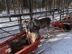 Reindeer sledding