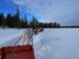 Reindeer sledding