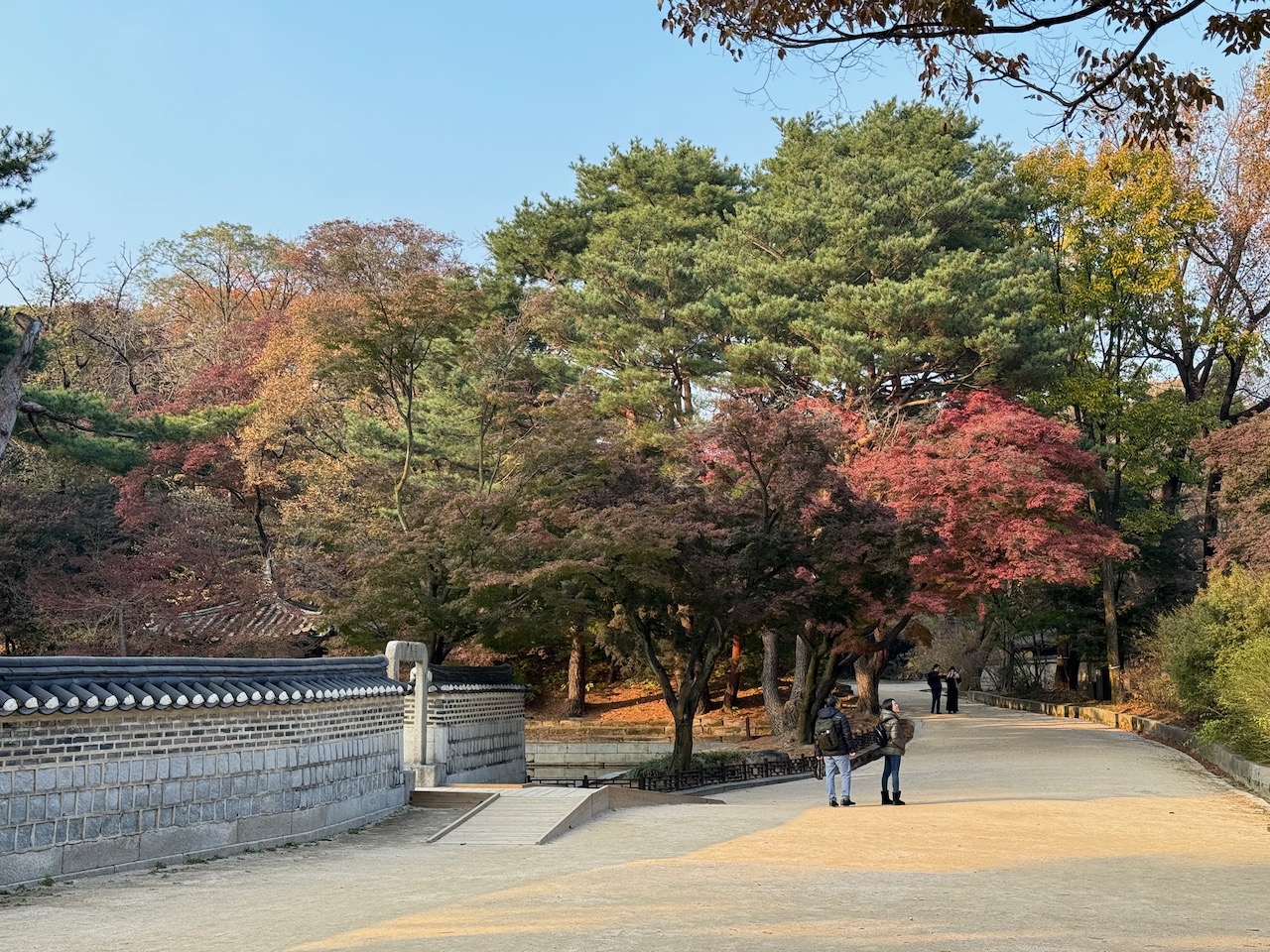 Inside the secret garden of Changdeokgung