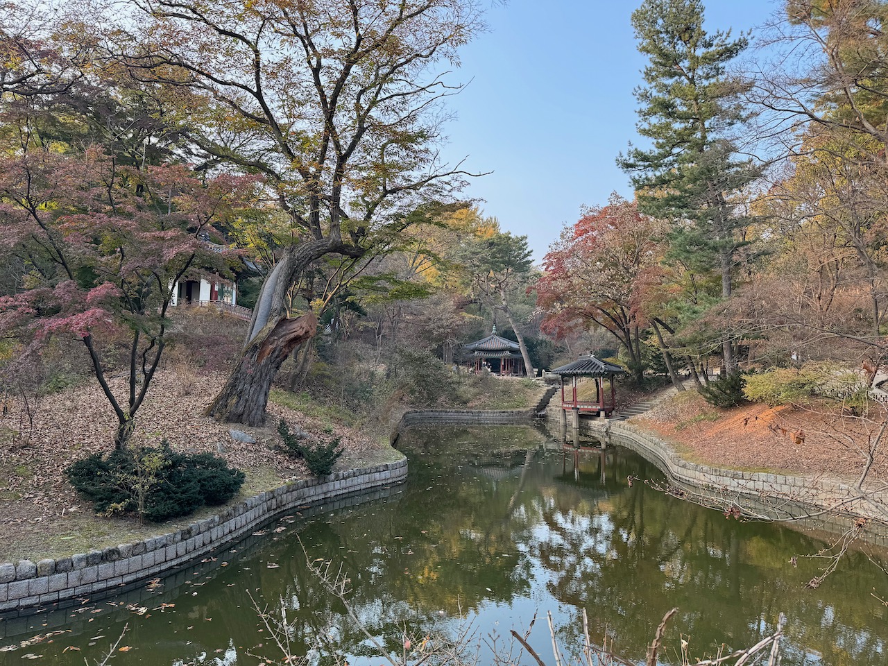 Inside the secret garden of Changdeokgung